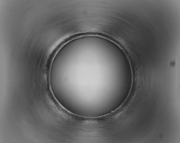 X0000112891118200908281654