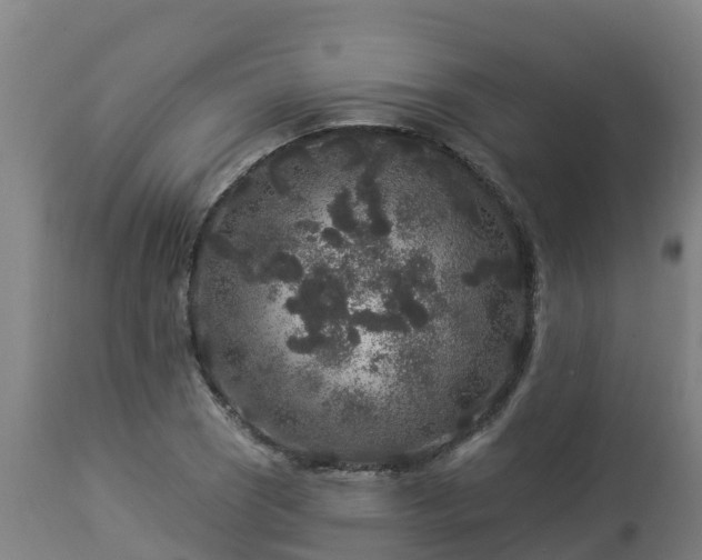 X0000112891121200908281654