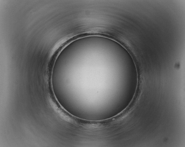 X0000112891122200908281654