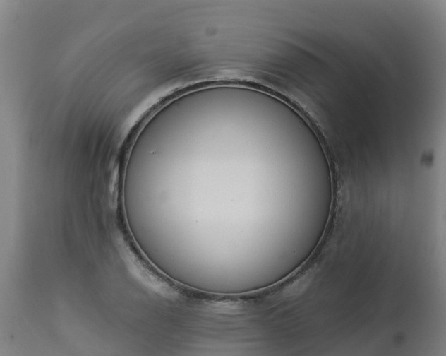 X0000112891126200908281654