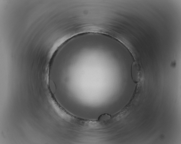X0000112891128200908281654
