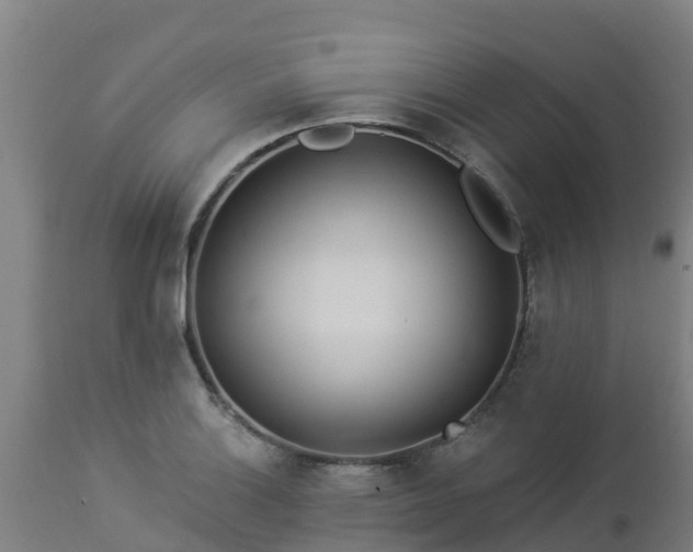 X0000112891132200908281654