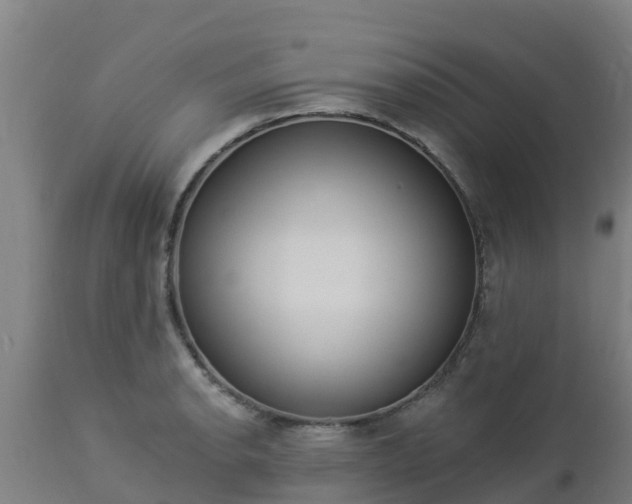 X0000112891134200908281654