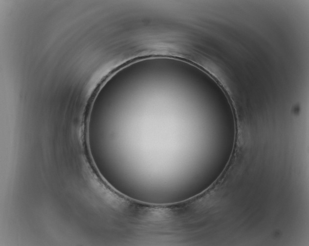 X0000112891136200908281654