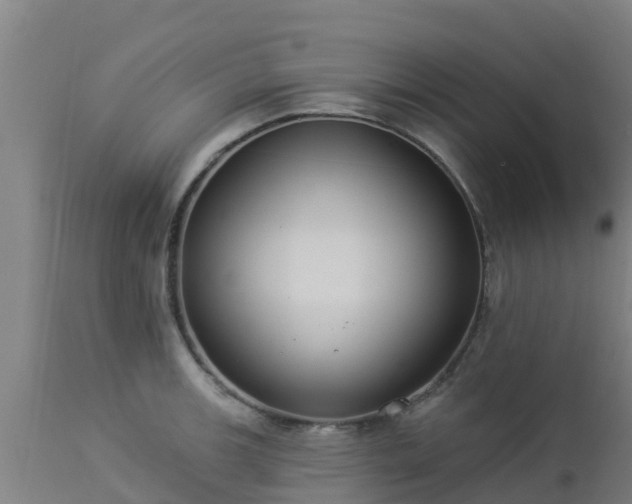 X0000112891139200908281654