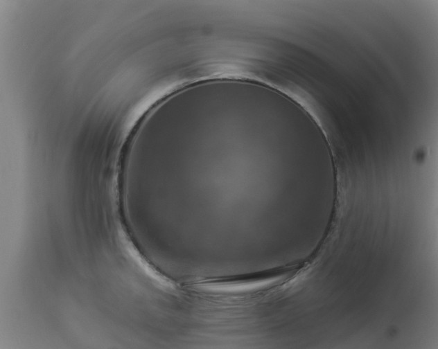 X0000112891142200908281654