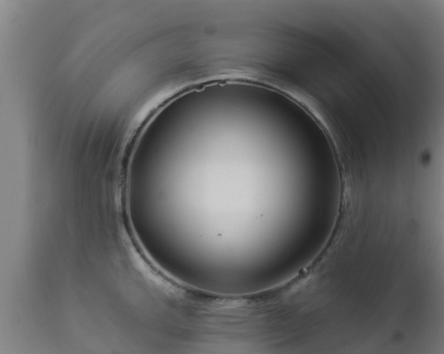 X0000112891143200908281654