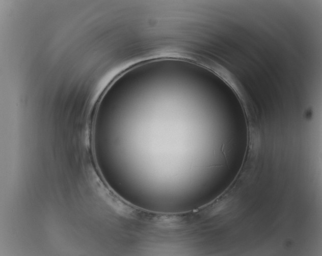 X0000112891148200908281654