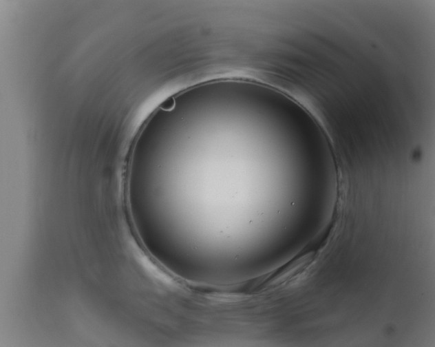 X0000112891151200908281654