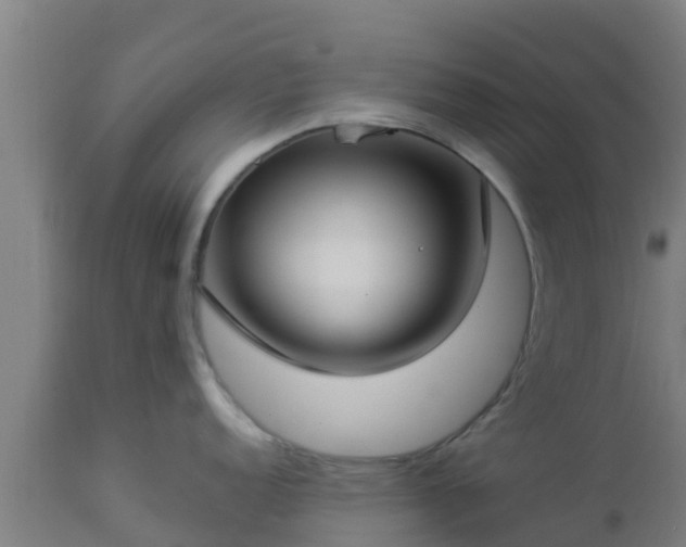 X0000112891152200908281654