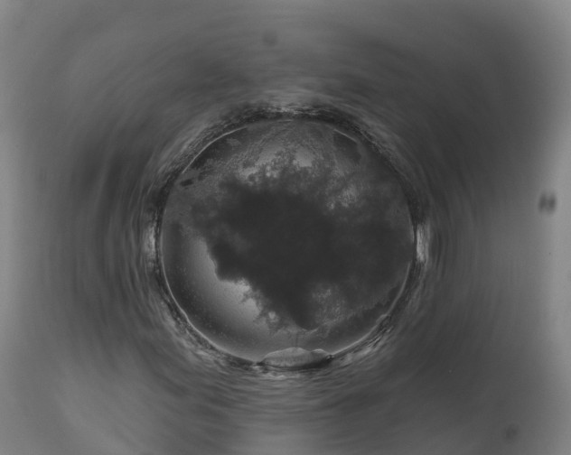 X0000112891155200908281654