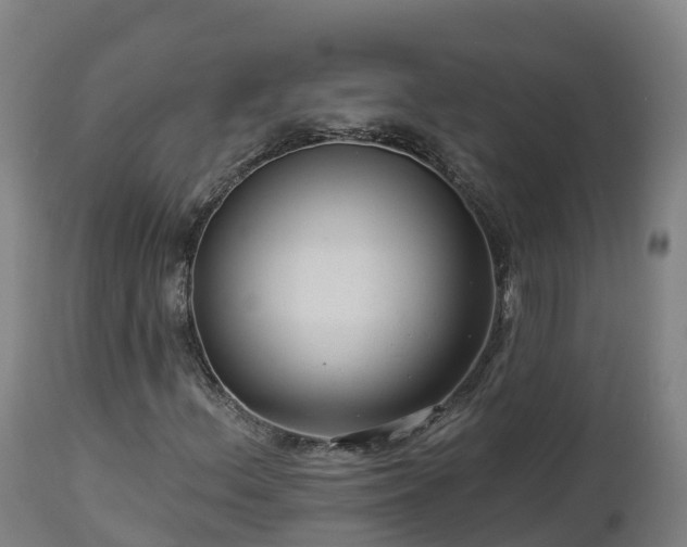 X0000112891156200908281653
