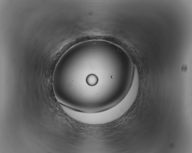 X0000112891157200908281653