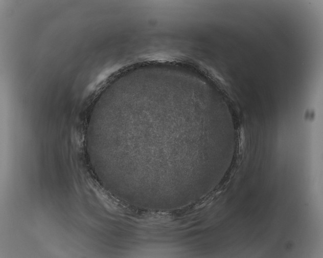 X0000112891158200908281653