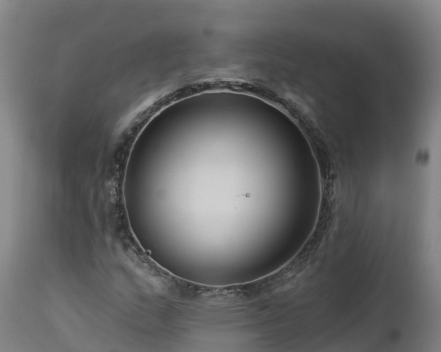 X0000112891159200908281653