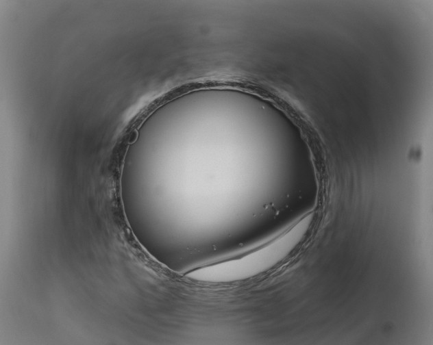 X0000112891160200908281653