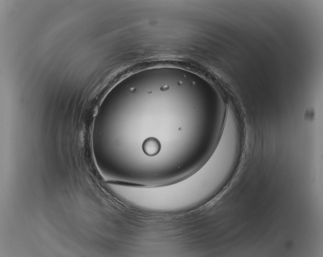 X0000112891161200908281653