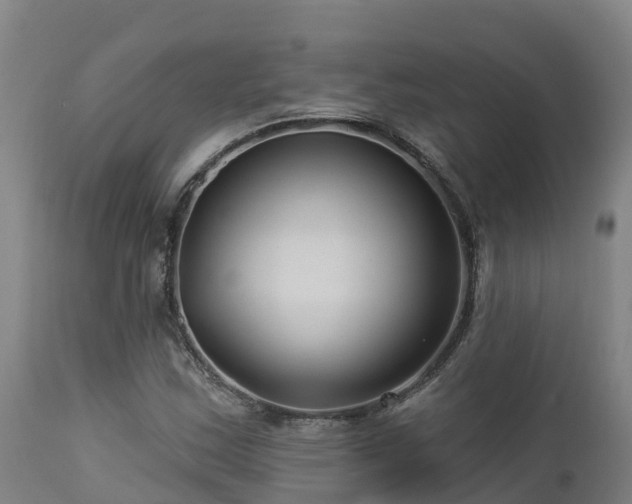 X0000112891163200908281653
