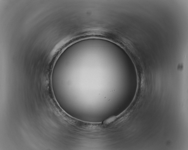 X0000112891164200908281653