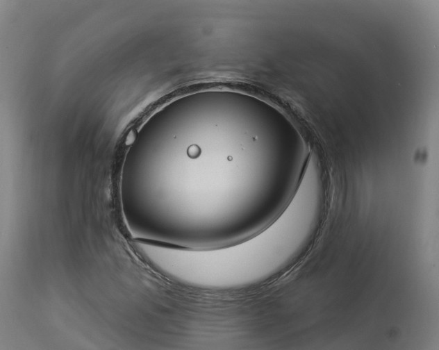 X0000112891165200908281653