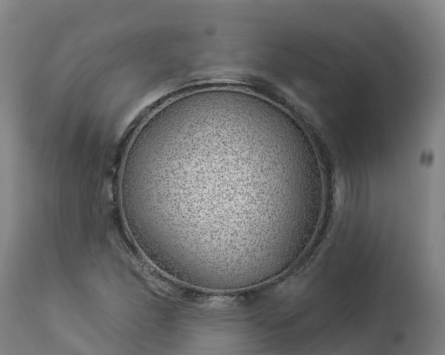 X0000112891166200908281653