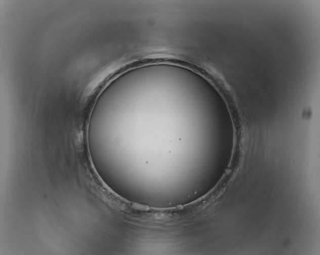 X0000112891167200908281653