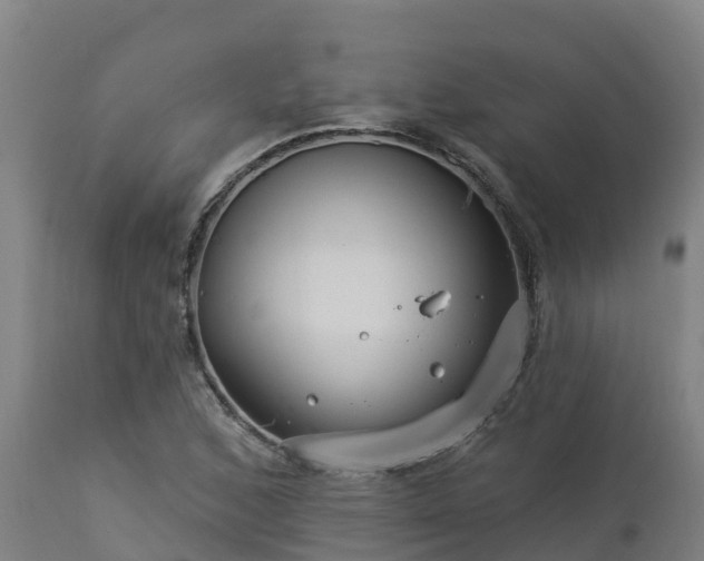 X0000112891168200908281653