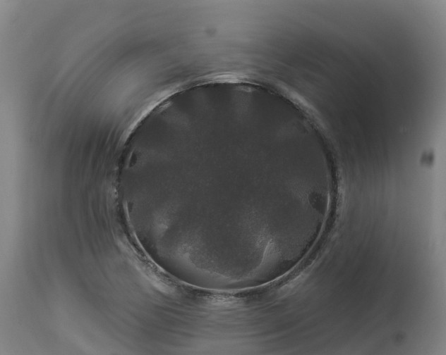 X0000112891170200908281653