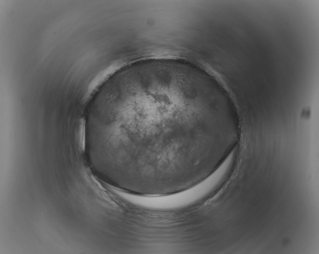 X0000112891171200908281653