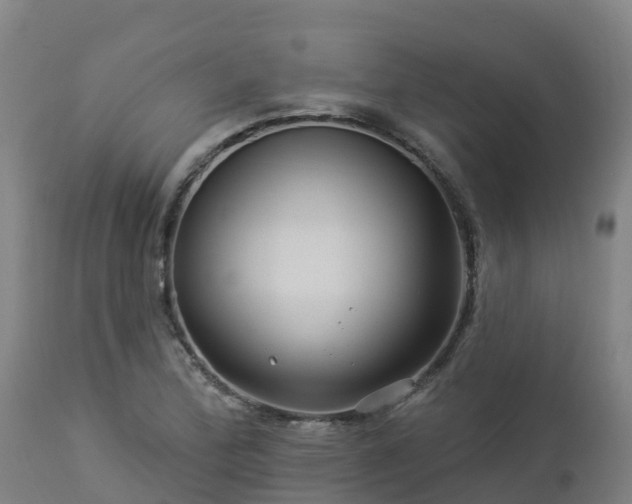 X0000112891172200908281653