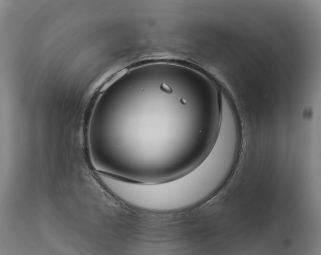 X0000112891173200908281653