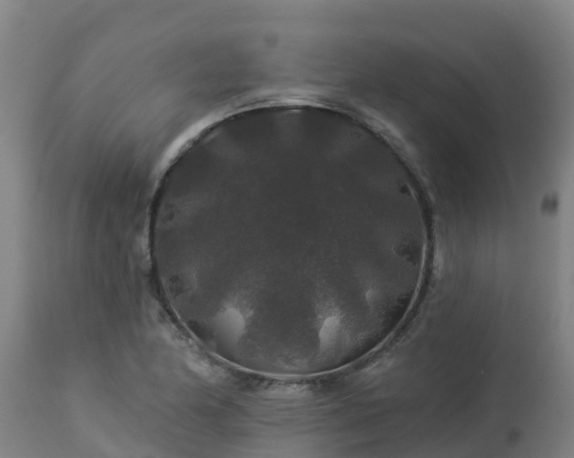 X0000112891174200908281653