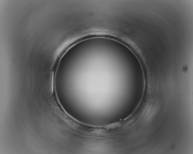 X0000112891175200908281653