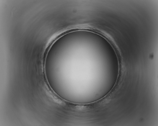 X0000112891176200908281653