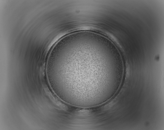 X0000112891178200908281653