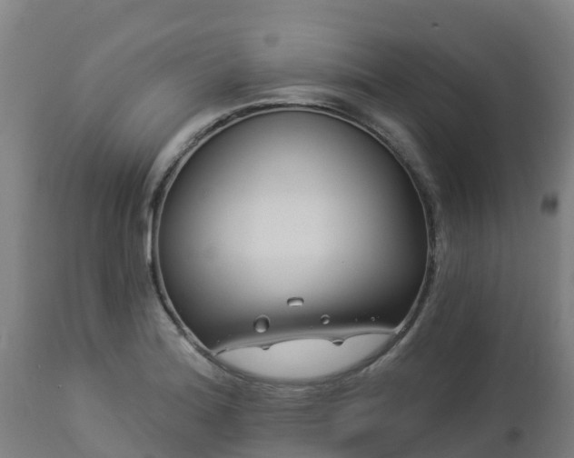 X0000112891180200908281653