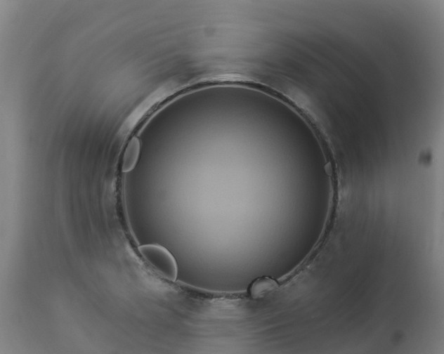 X0000112891181200908281653