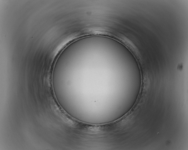 X0000112891182200908281653