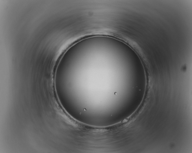 X0000112891184200908281653