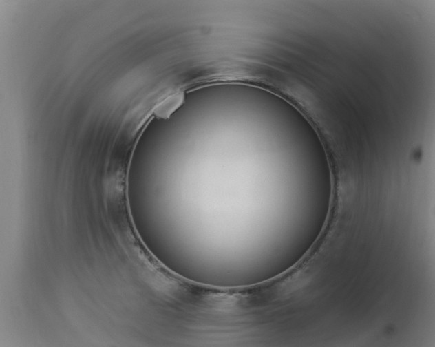 X0000112891185200908281653