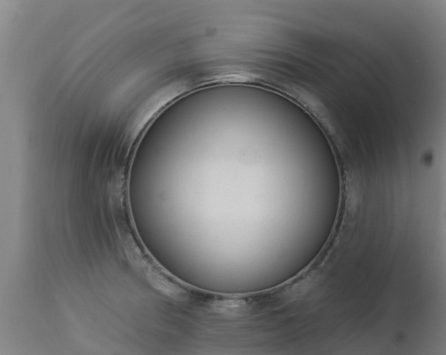 X0000112891186200908281653