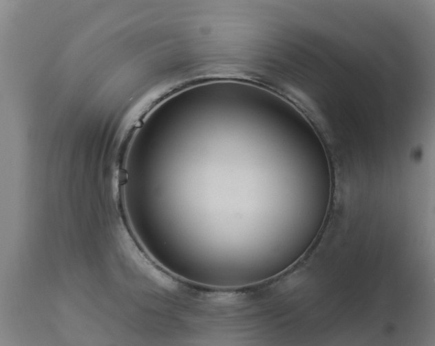 X0000112891188200908281653