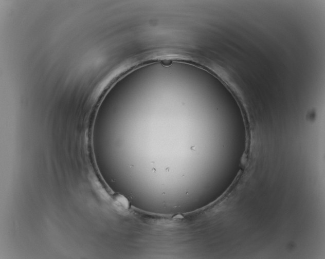 X0000112891189200908281653