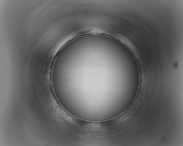 X0000112891190200908281653