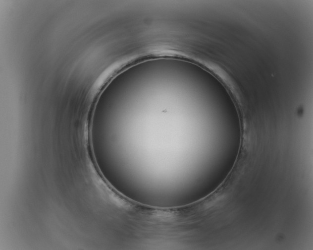 X0000112891191200908281653