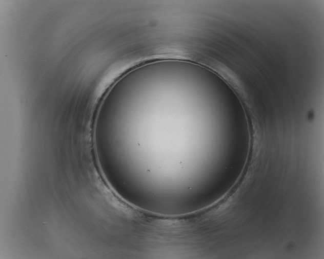 X0000112891192200908281653