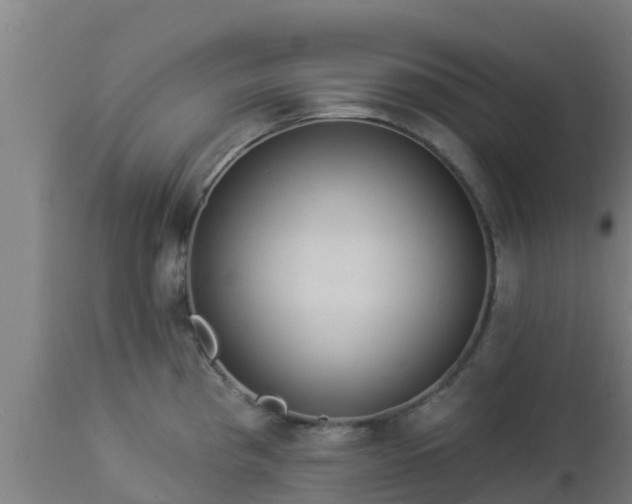 X0000112891193200908281653