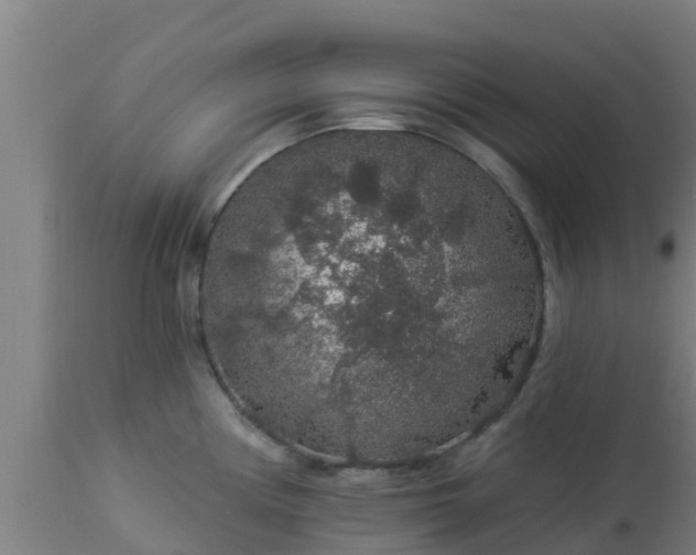 X0000112891194200908281653
