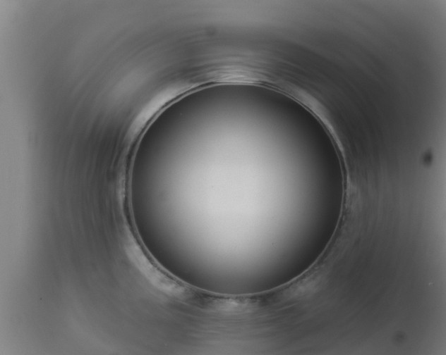 X0000112891195200908281653