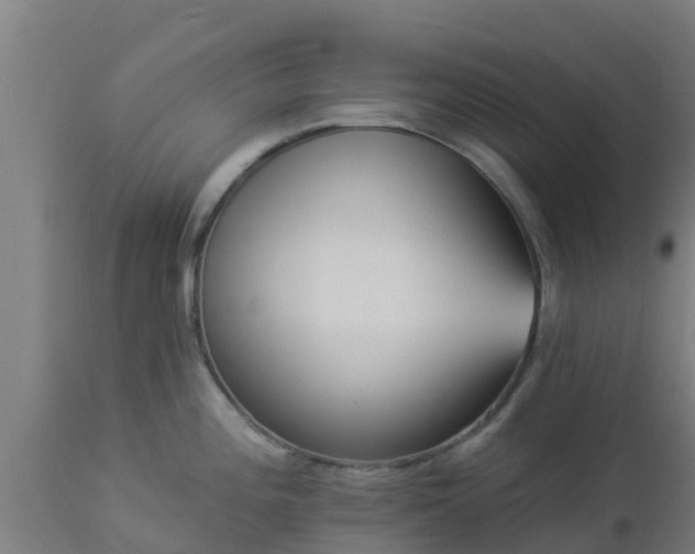 X0000112891196200908281653